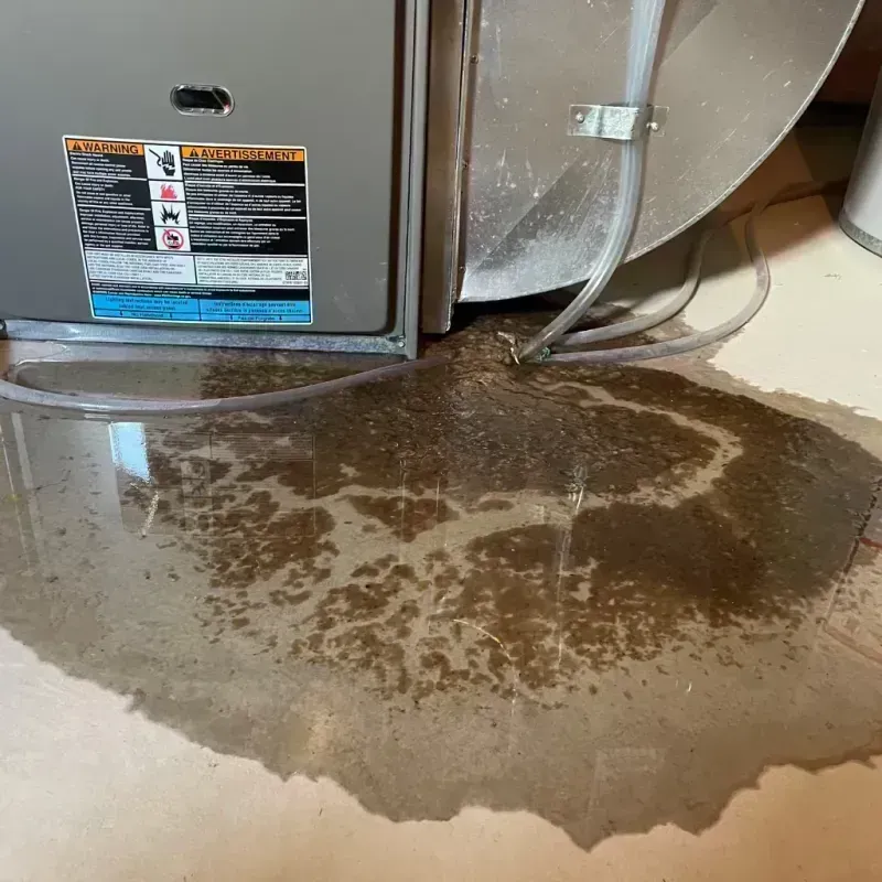 Appliance Leak Cleanup in Wade Hampton, SC